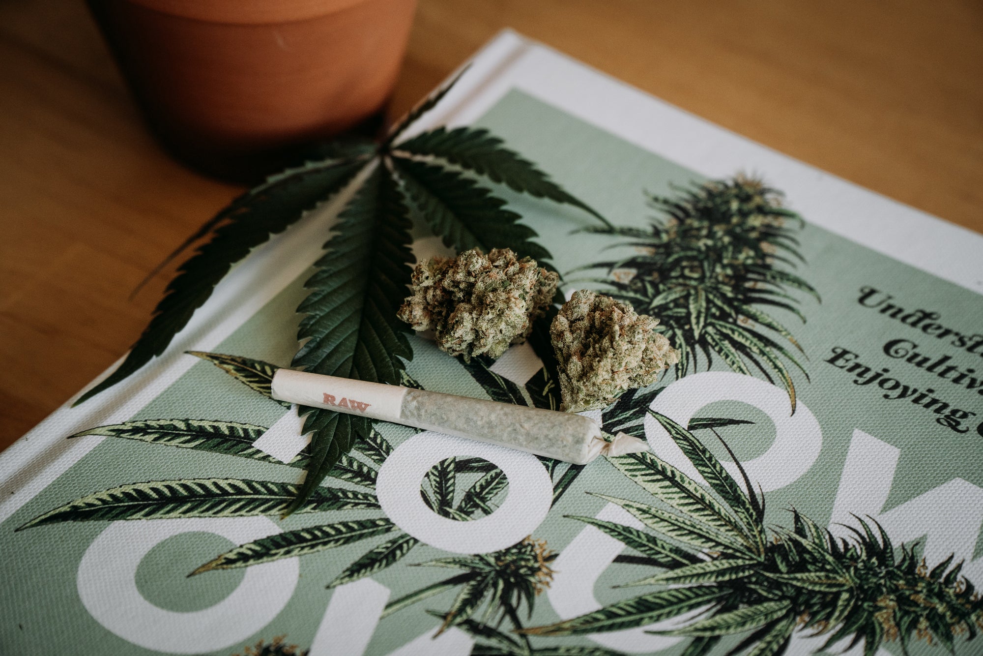 Weed For Productivity: How To Microdose