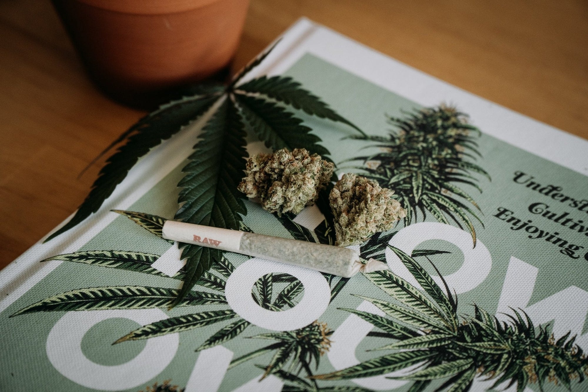 Weed For Productivity: How To Microdose - Barbari Botanical Co.